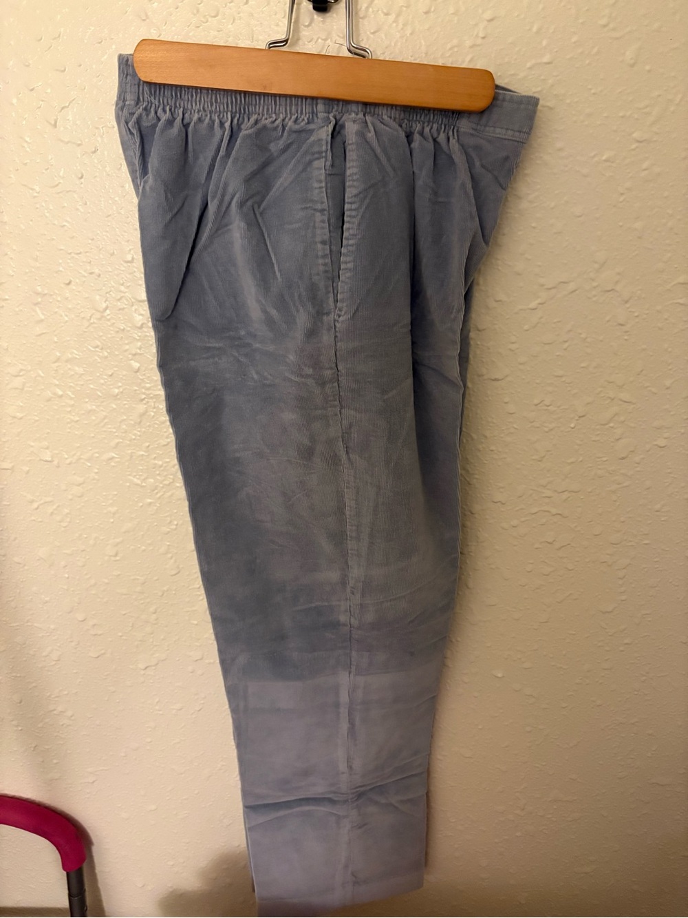 Alfred Dunner Light Blue Corduroy Pants - Elastic Waist